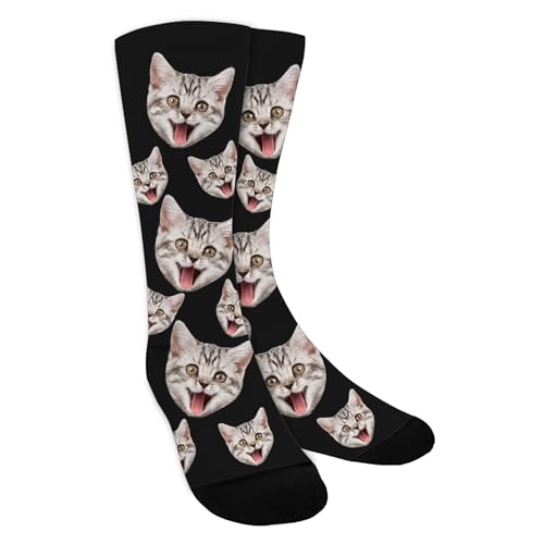 Cat on Socks