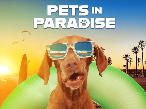 Cat Rescue San Diego