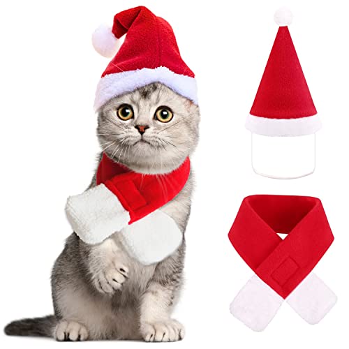 Cat Santa Clothes
