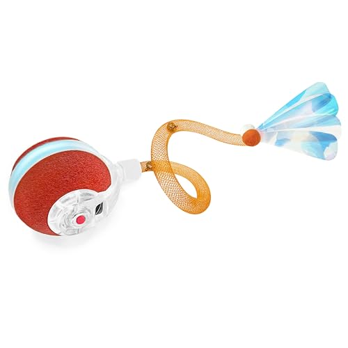 Cat Toy Ball
