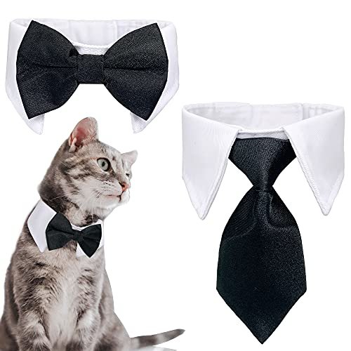 Cat Wedding Clothes