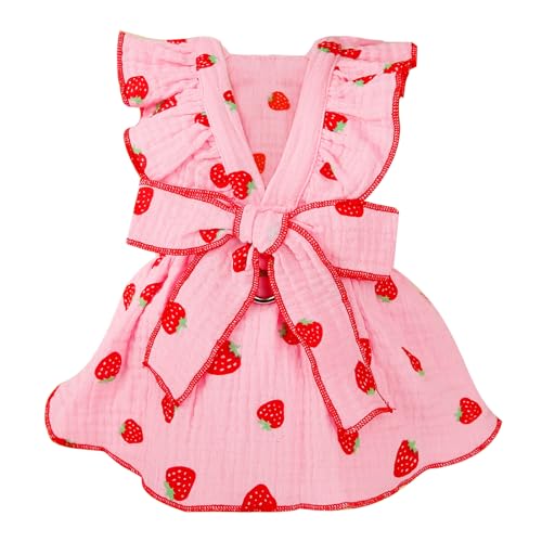 Catos Clothing Dresses