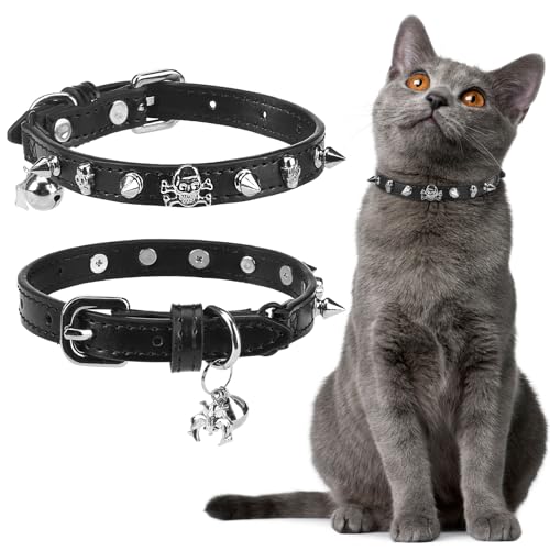 Coach Collars for Cats