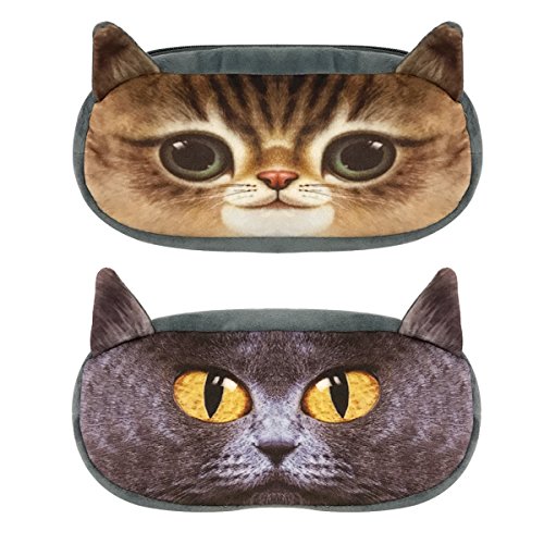 Cobby Cat
