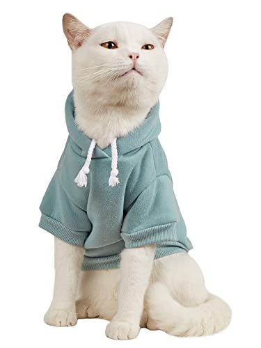 Cool Cat Clothing