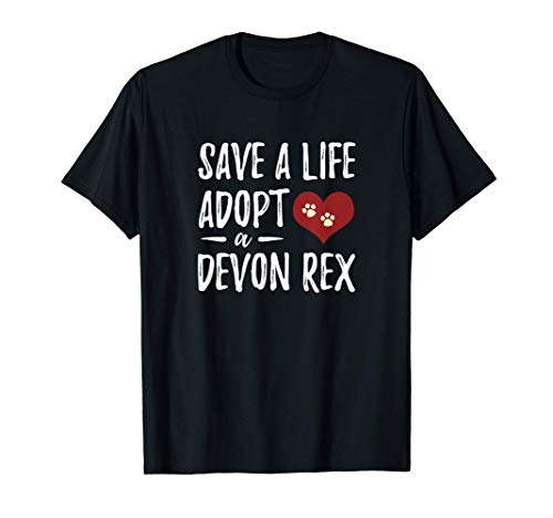Devon Rex Cat Rescue
