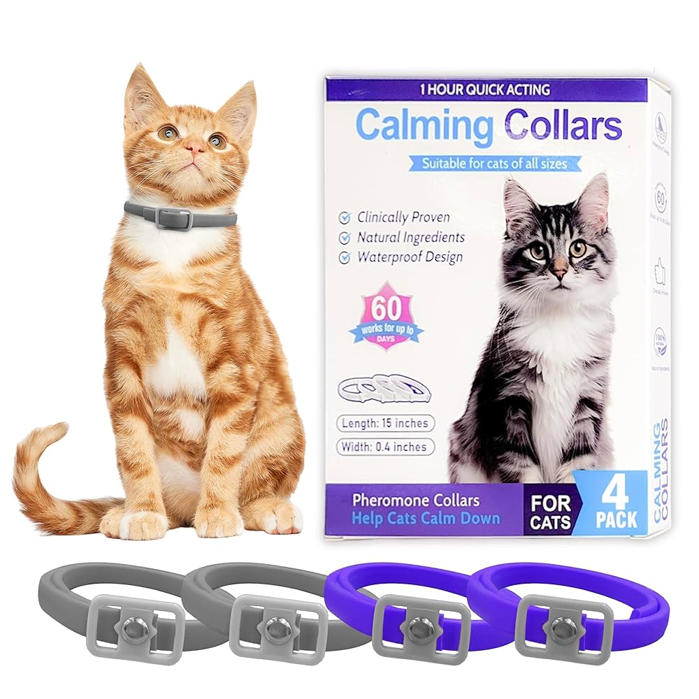 Do Calming Collars Work on Cats