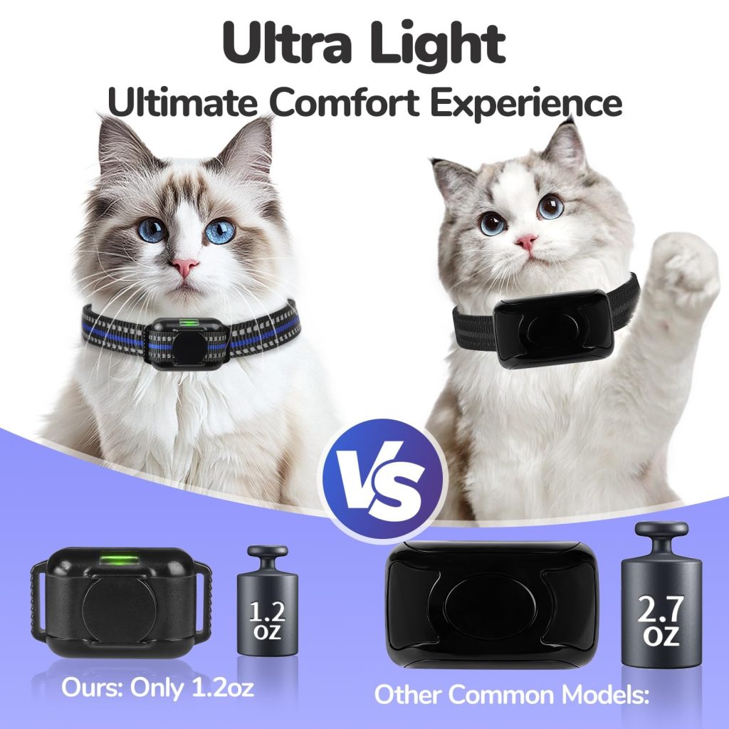 Do Shock Collars Work on Cats