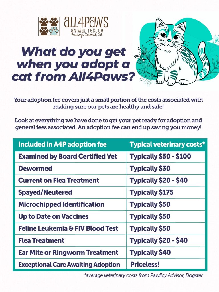 Does Cat Adoption Cost Money