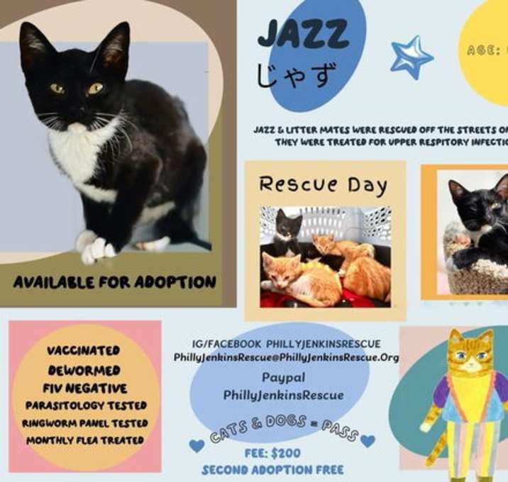 Does Petsmart Do Cat Adoption