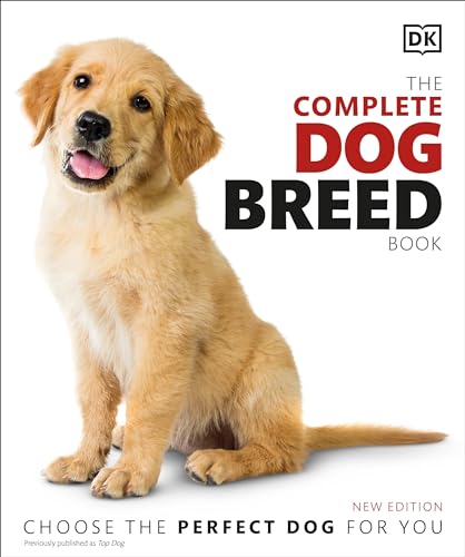 Dog Like Cats Breeds