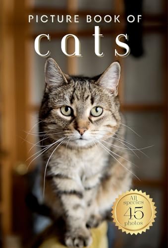 Domestic Cat Pictures