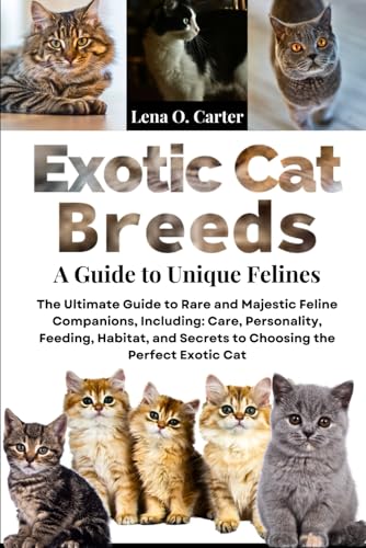 Exotic Cats Breed