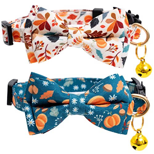 Fall Cat Collars