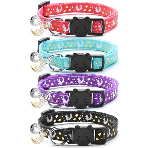 Funky Cat Collars