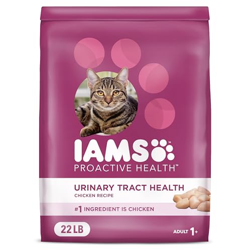 Good Cat Food for Urinary Tract Health