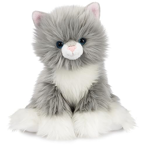 Gray And White Kittens for Sale