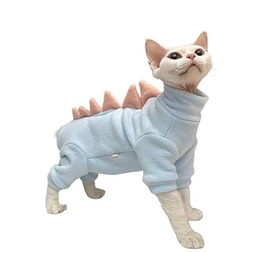Hairless Cat With Clothes