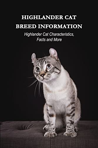 Highlander Cat Breeder