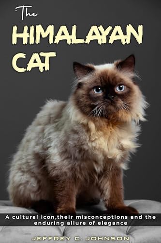Himalayan Cat Adoption