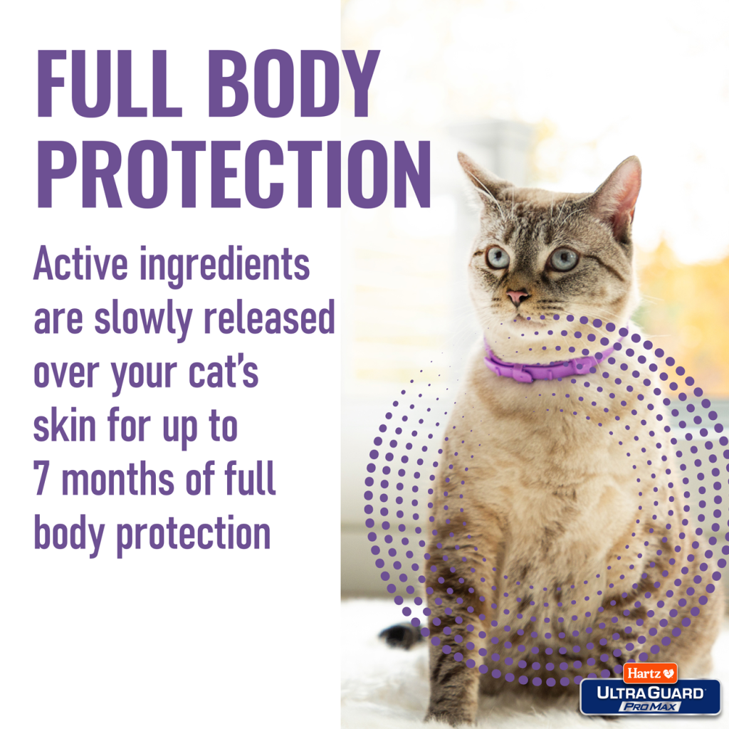 How Do Flea Collars Work for Cats