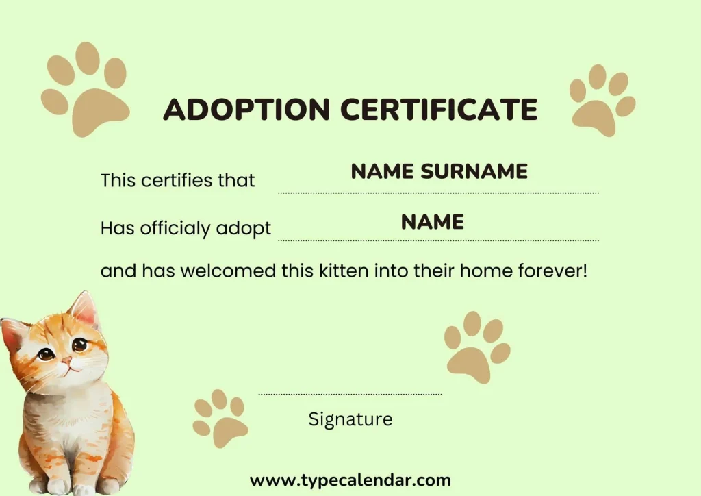 How Do I Make a Cat Adoption Certificate