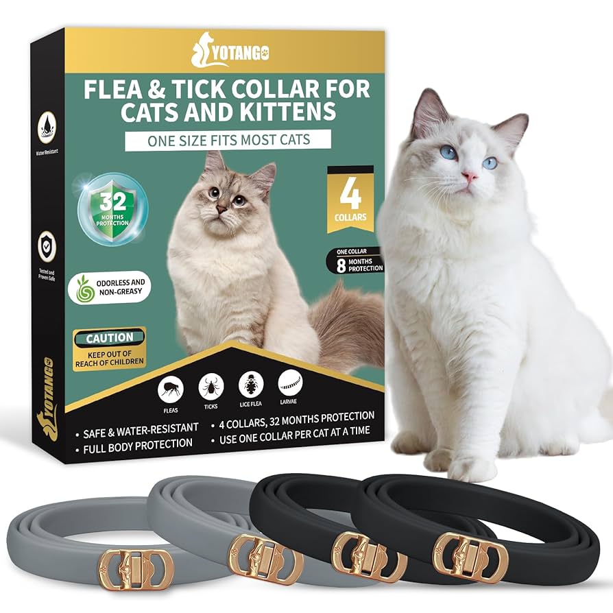 How Long Do Flea Collars Last for Cats
