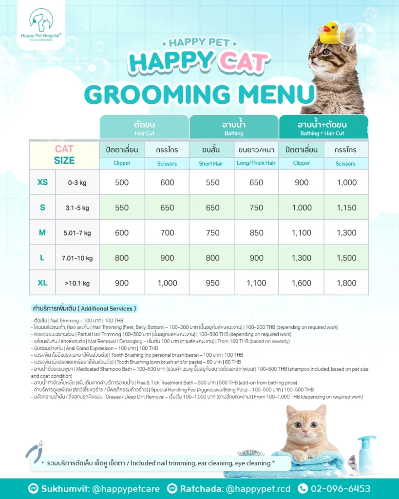 How Much Does Cat Grooming Cost