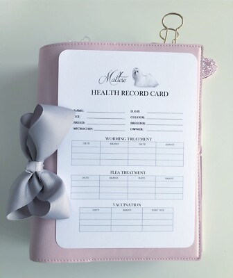 How Much is a Health Certificate for a Cat