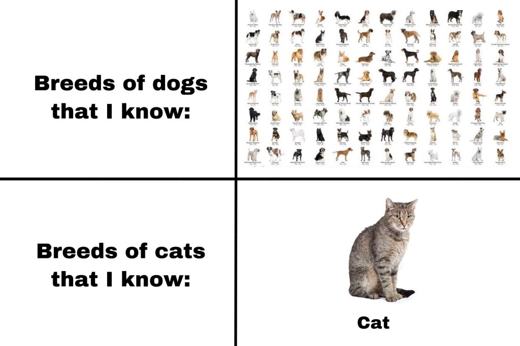 How to Determine Cat Breed