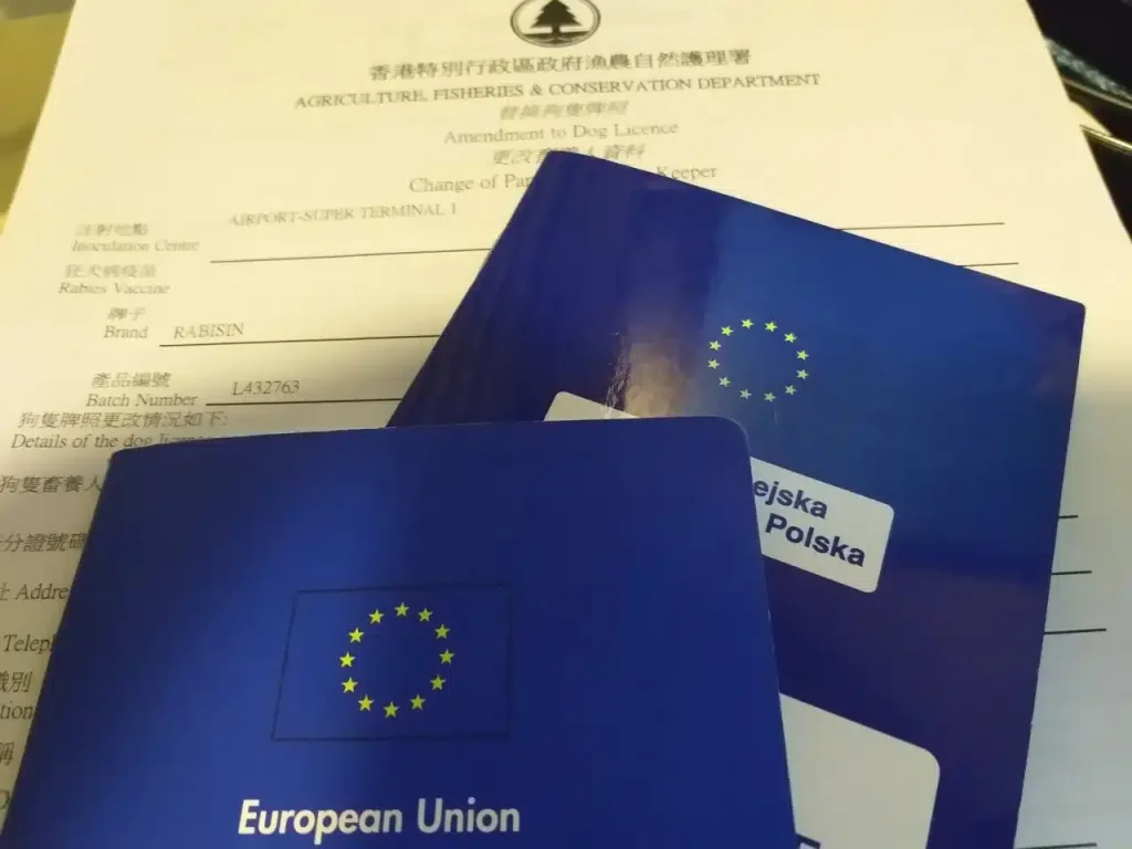 How to Get a Health Certificate for a Cat