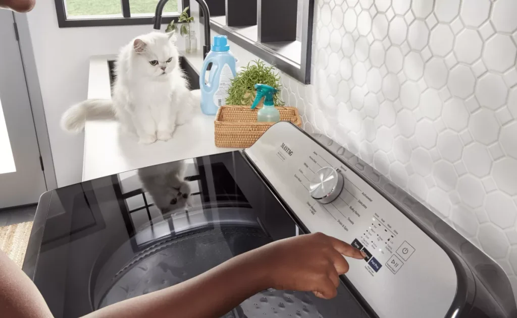 How to Get Cat Smell Out of Clothes