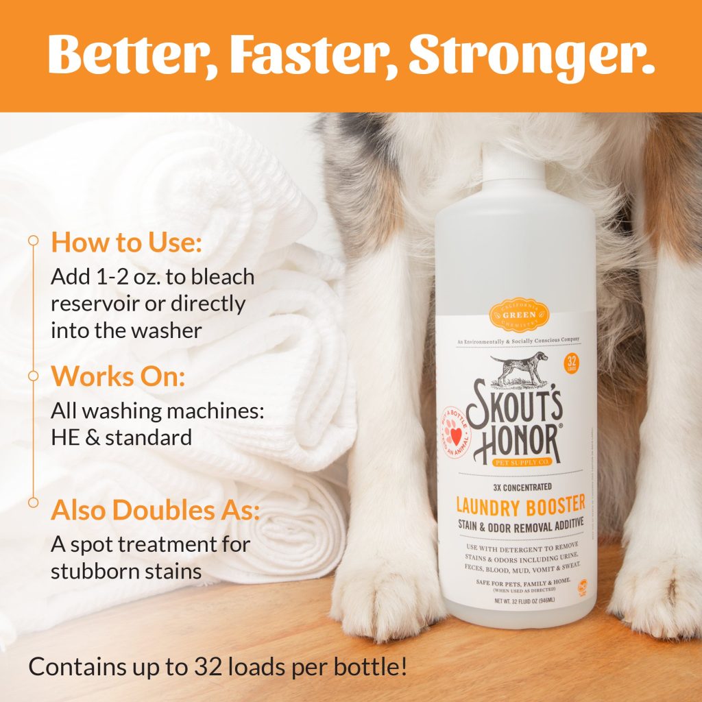 How to Get Rid of Cat Pee in Clothes