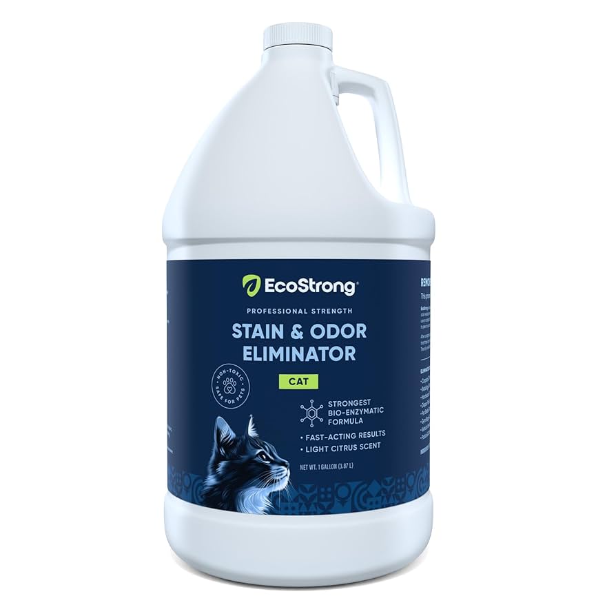 How to Get Rid of Cat Pee on Clothes