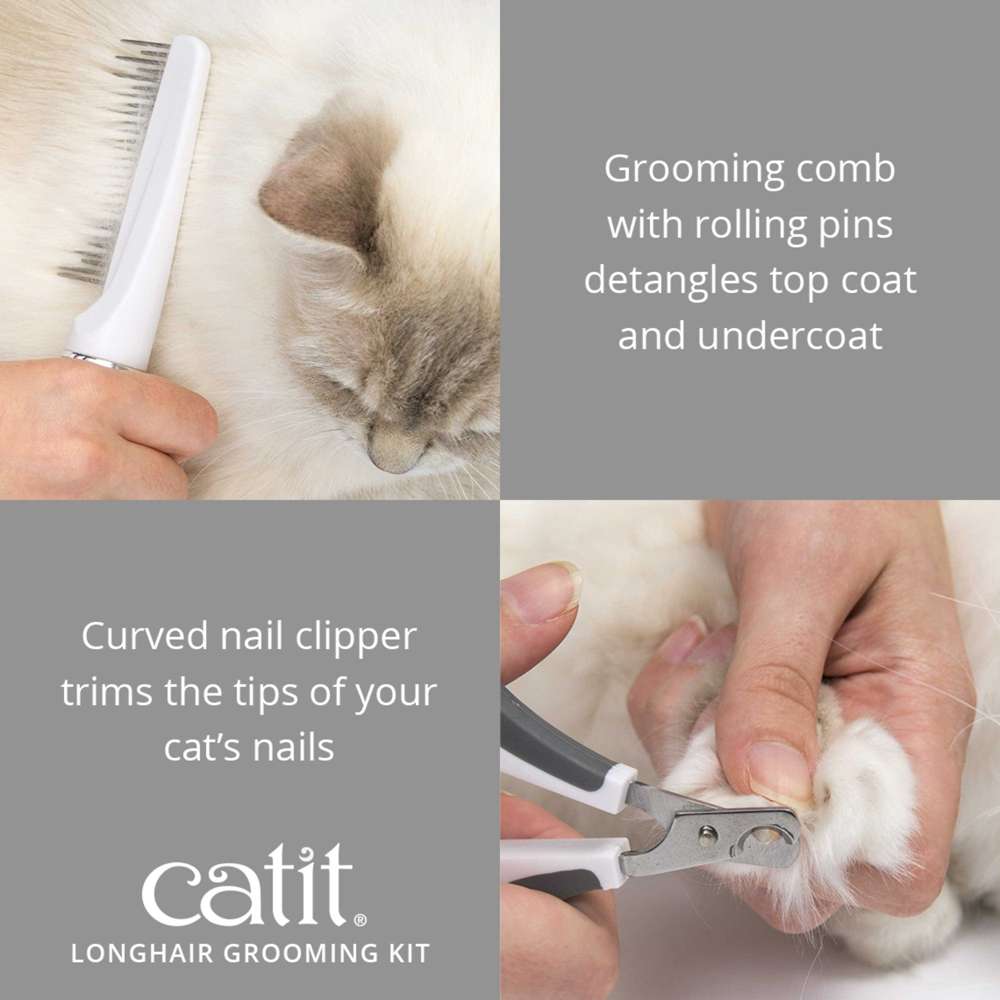 How to Groom Long Hair Cat