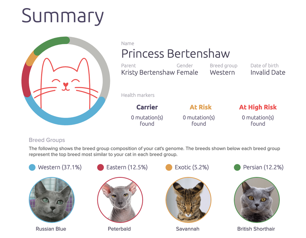 How to Know Cat Breed