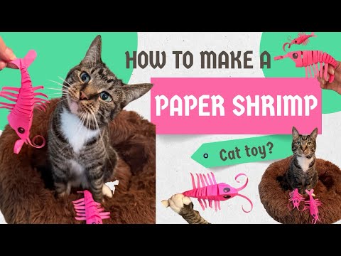 How to Make Cat Toy