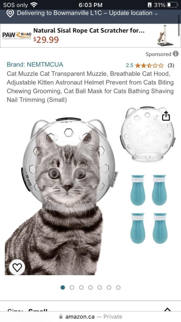 How to Sedate a Cat for Grooming