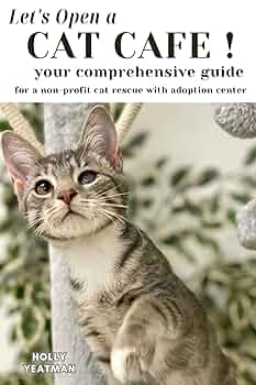 How to Start a Cat Rescue Facility