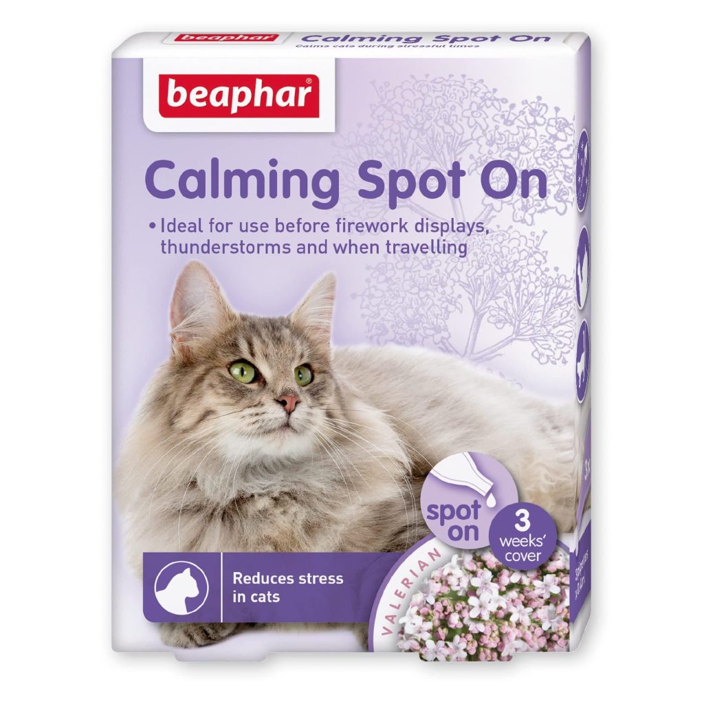 How to Stop Over Grooming in Cats