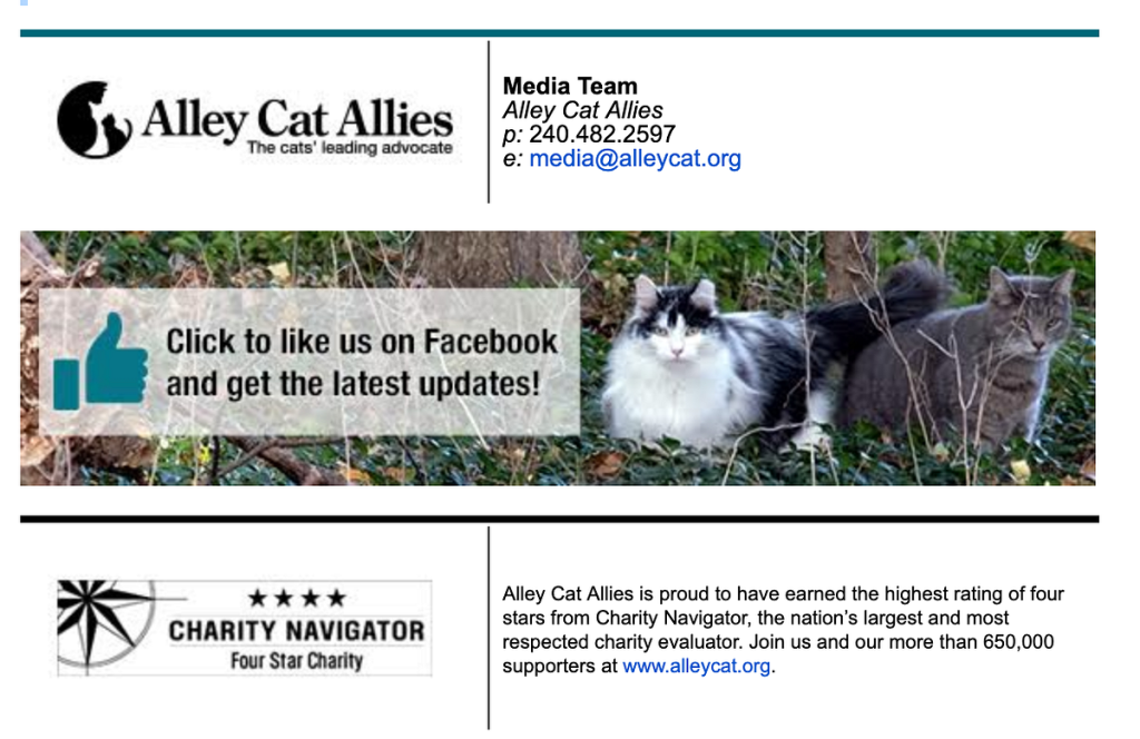 Is Alley Cat Rescue a Good Charity