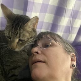 Is Cat Adoption Agreement Binding Without an Addoption Fee