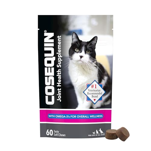 Joint Health Supplements for Cats