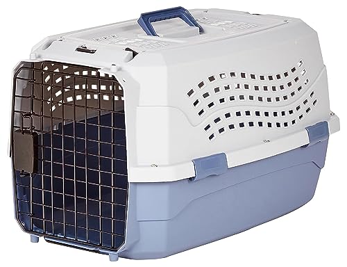 Kennel Cat