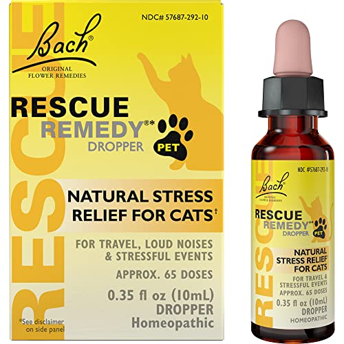Lucky Cat Rescue