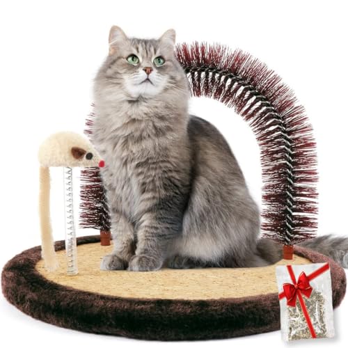 Mobile Cat Groomer