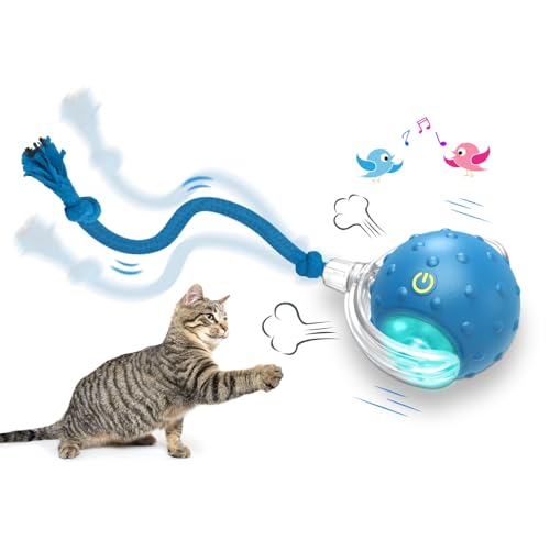 Movable Cat Toys
