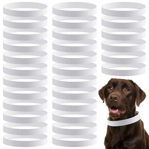 Paper Collars for Cats