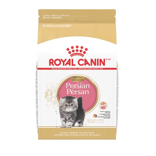 Persian Kittens Cat Breeder