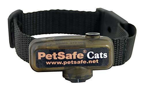 Pet Safe Collars for Cats